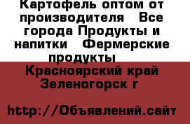 Картофель оптом от производителя - Все города Продукты и напитки » Фермерские продукты   . Красноярский край,Зеленогорск г.